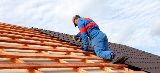 Best Chimney Flashing Repair  in Roebuck, SC