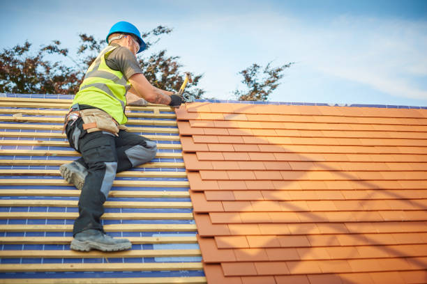 Best Roofing for New Construction  in Roebuck, SC